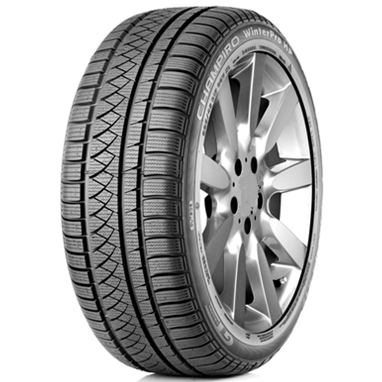 Шины GT Radial Champiro WinterPro HP 205/55 R16 94V